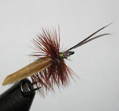 ���� �� �������� ��� �43 (8) Caddis (Turkey Quills) �������� ���������� ��. � 8 